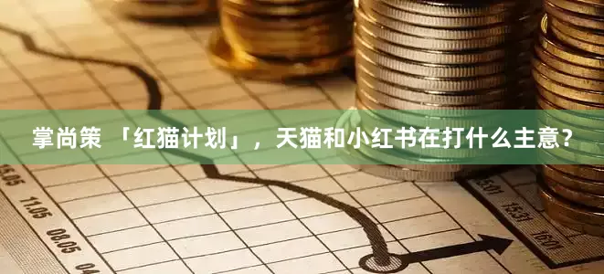 掌尚策 「红猫计划」，天猫和小红书在打什么主意？