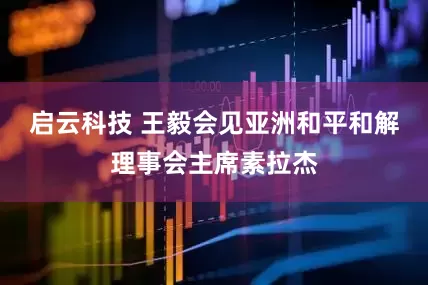 启云科技 王毅会见亚洲和平和解理事会主席素拉杰